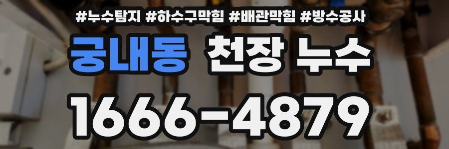 궁내동 천장 누수