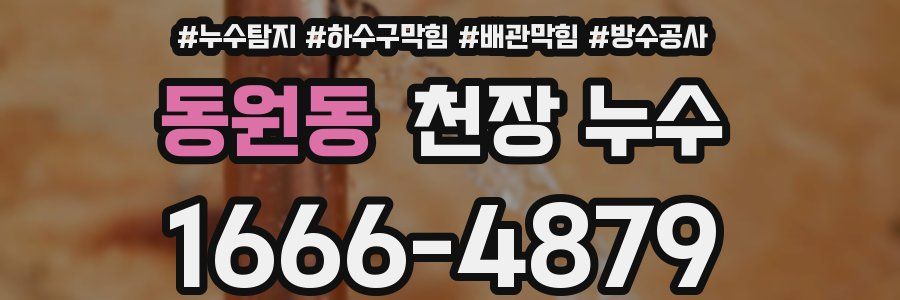 동원동 천장 누수
