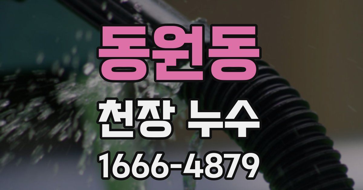 동원동 천장 누수