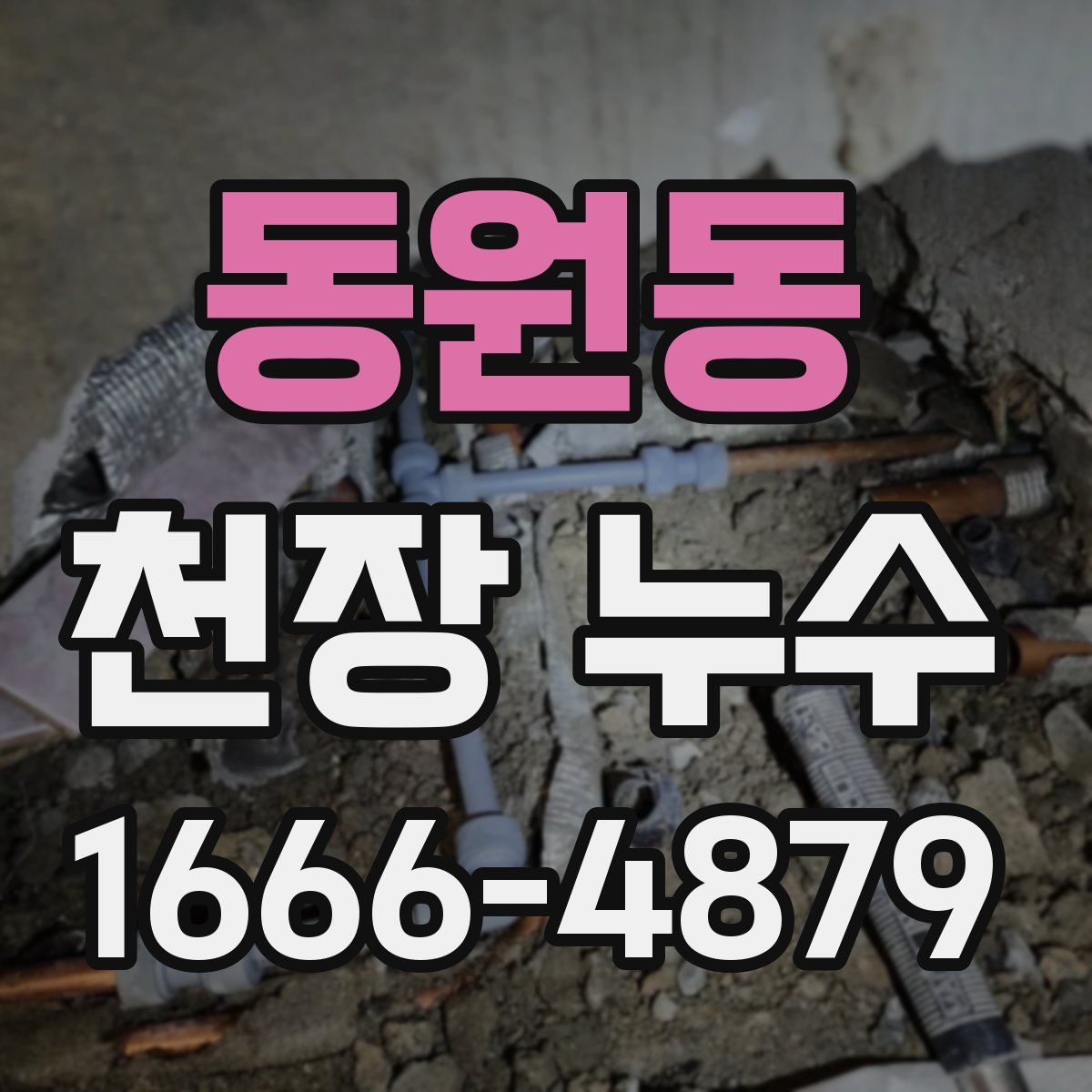 동원동 천장 누수