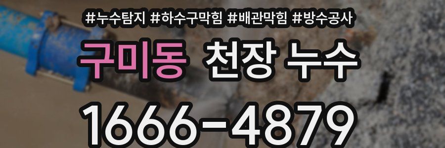 구미동 천장 누수