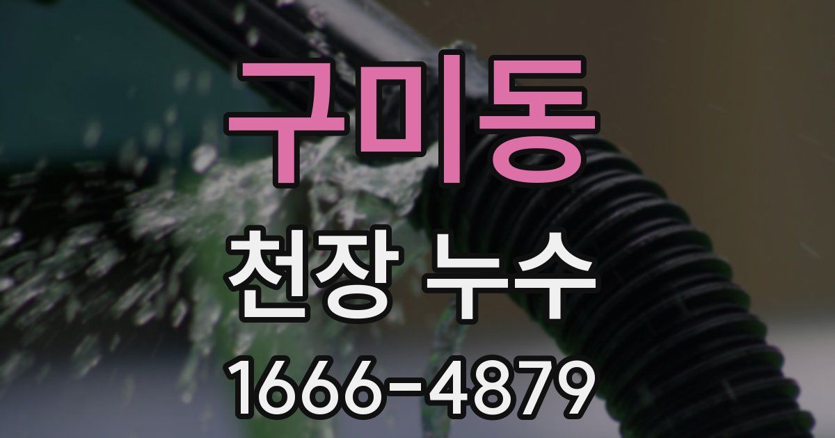 구미동 천장 누수