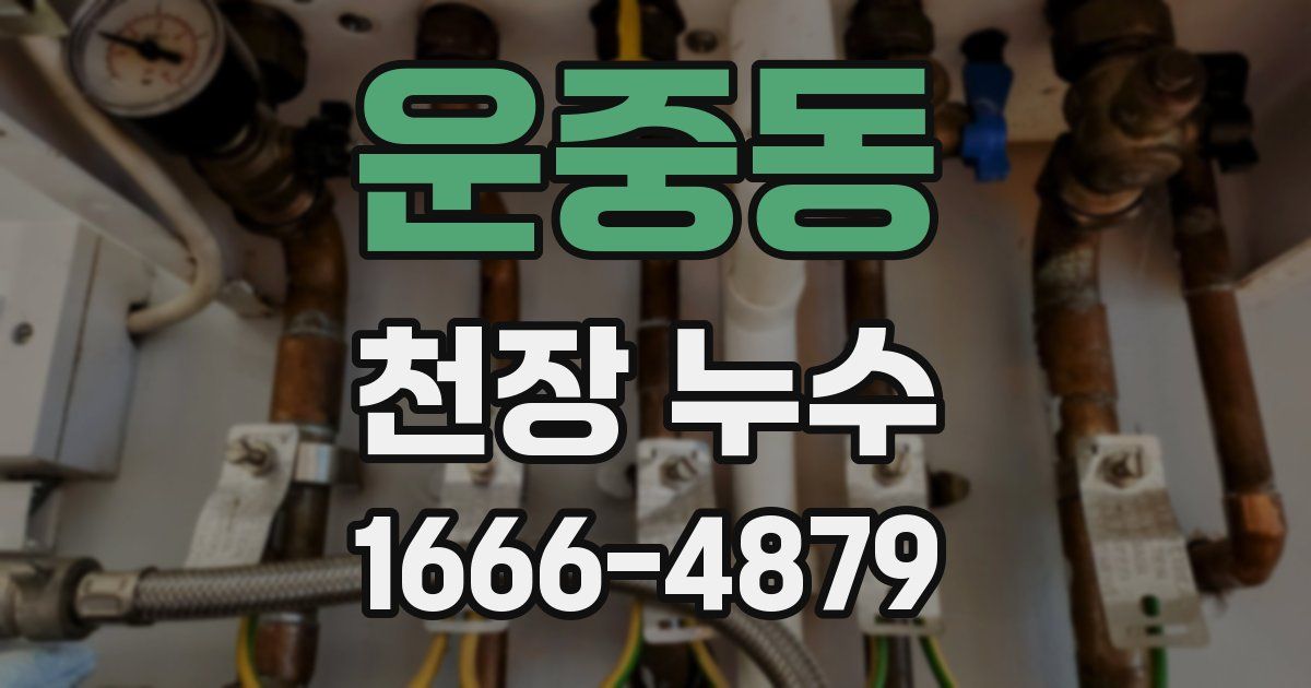 운중동 천장 누수