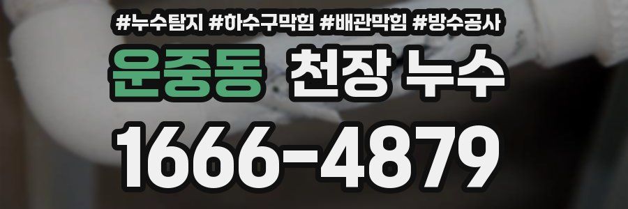 운중동 천장 누수