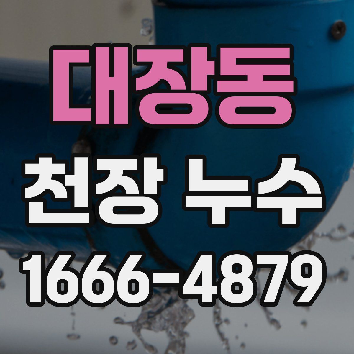 대장동 천장 누수