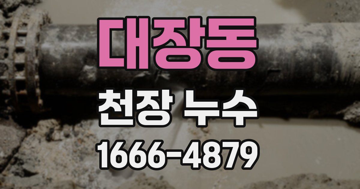 대장동 천장 누수