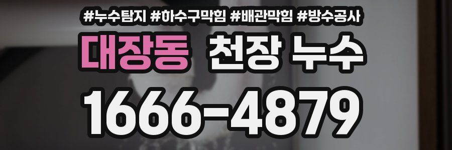 대장동 천장 누수