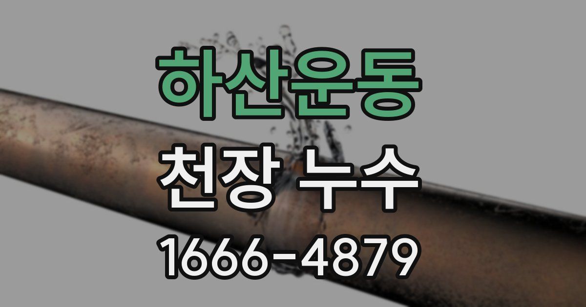 하산운동 천장 누수