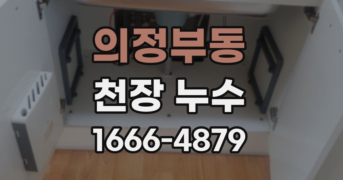 의정부동 천장 누수