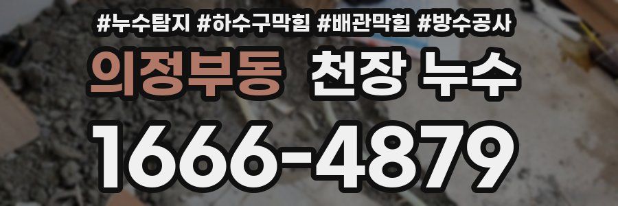 의정부동 천장 누수