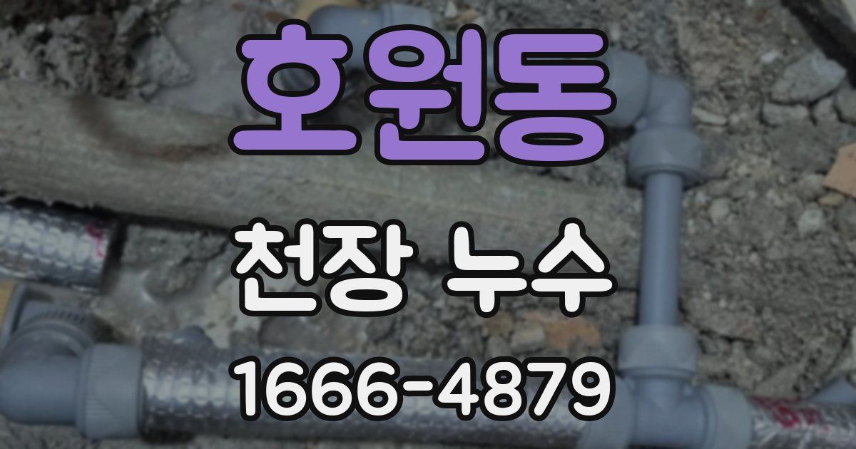 호원동 천장 누수