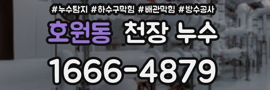 호원동 천장 누수