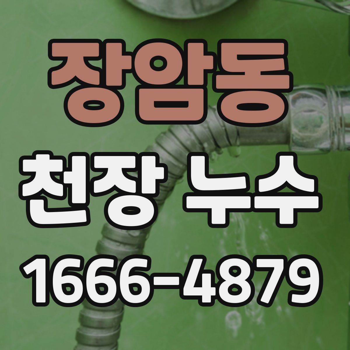 장암동 천장 누수