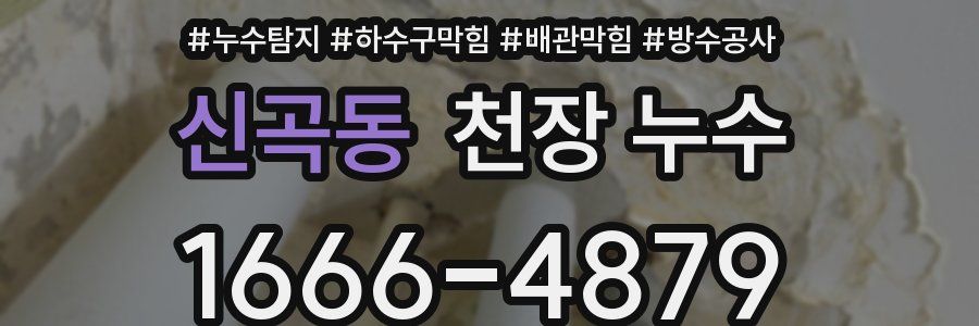 신곡동 천장 누수