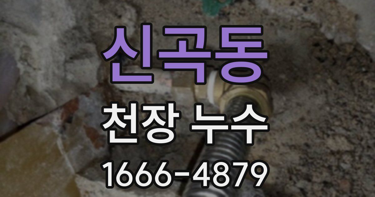 신곡동 천장 누수