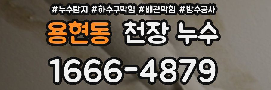 용현동 천장 누수
