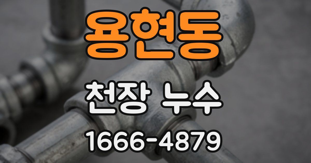 용현동 천장 누수