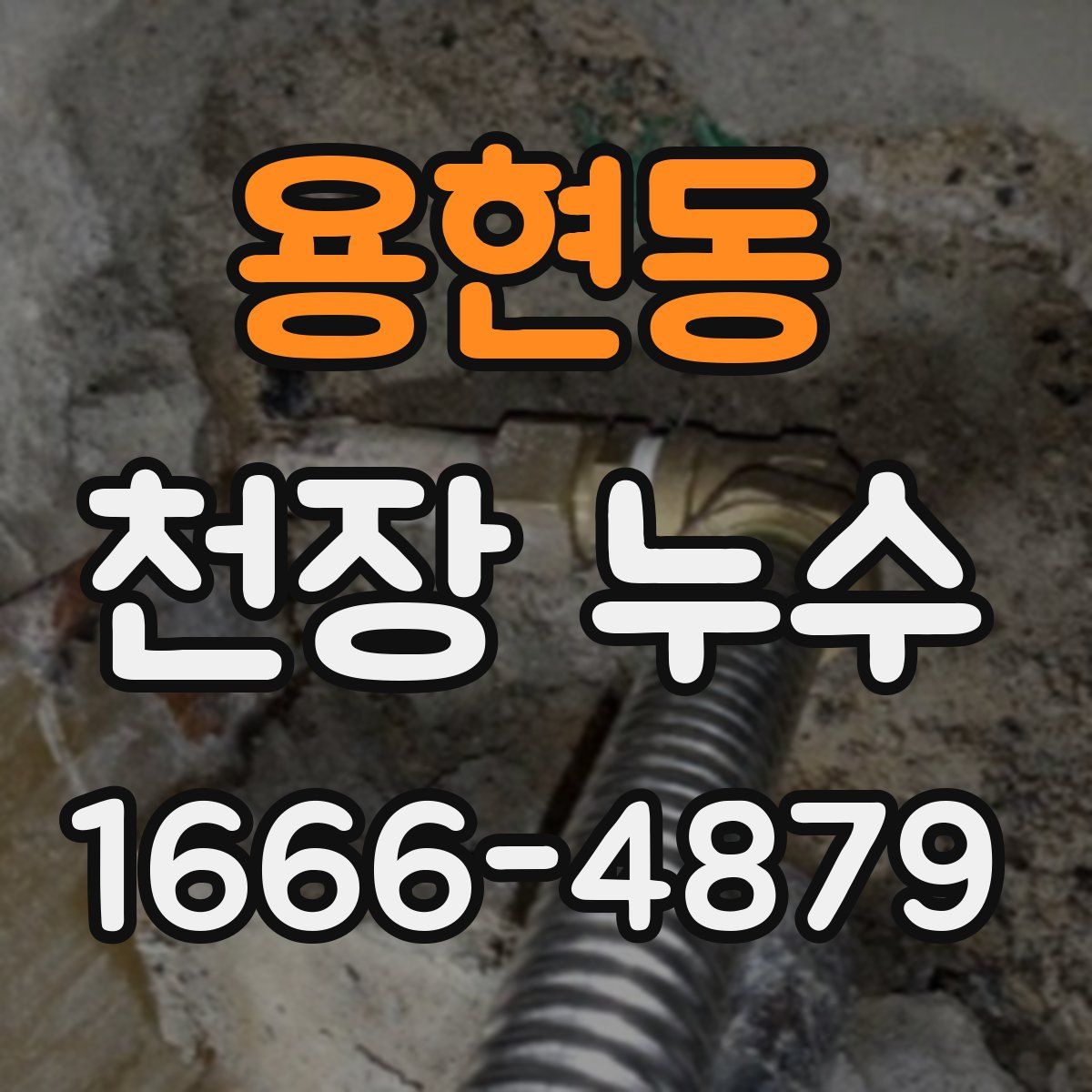 용현동 천장 누수