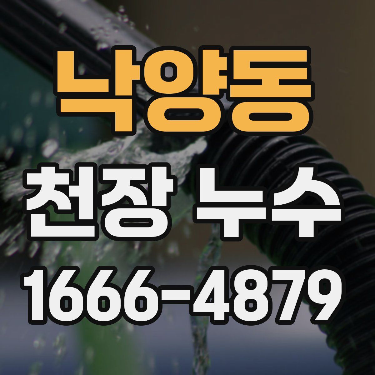 낙양동 천장 누수