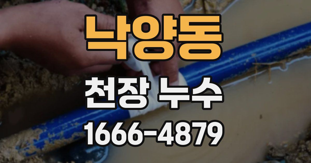 낙양동 천장 누수