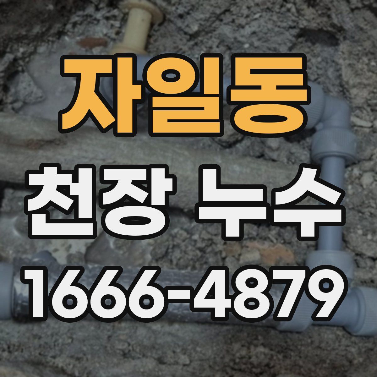 자일동 천장 누수