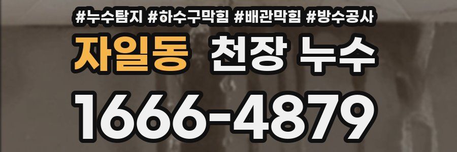자일동 천장 누수