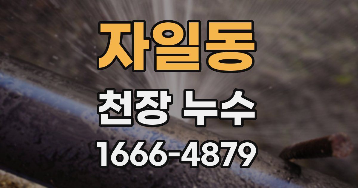 자일동 천장 누수
