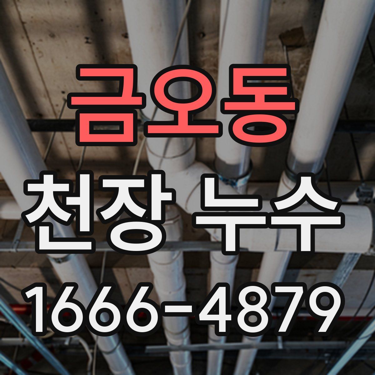 금오동 천장 누수