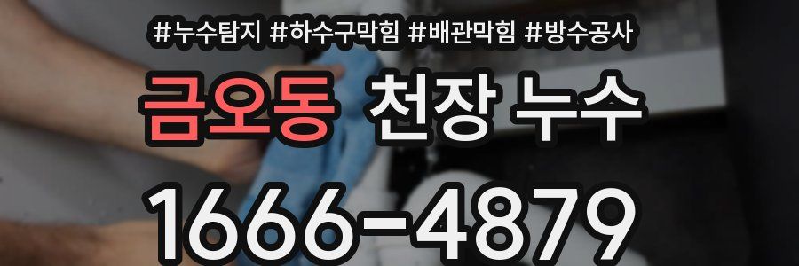 금오동 천장 누수