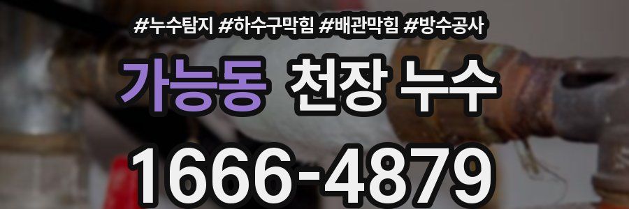 가능동 천장 누수