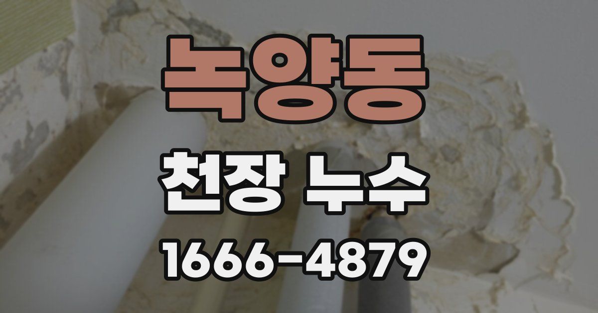 녹양동 천장 누수