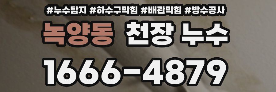 녹양동 천장 누수