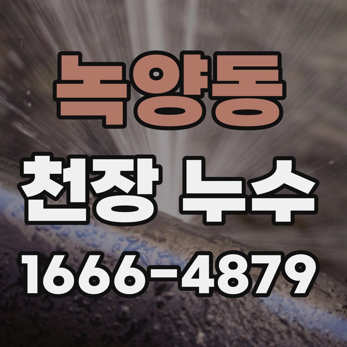 녹양동 천장 누수