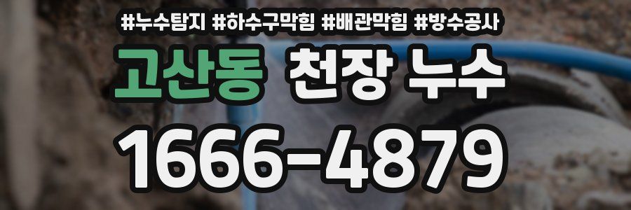 고산동 천장 누수