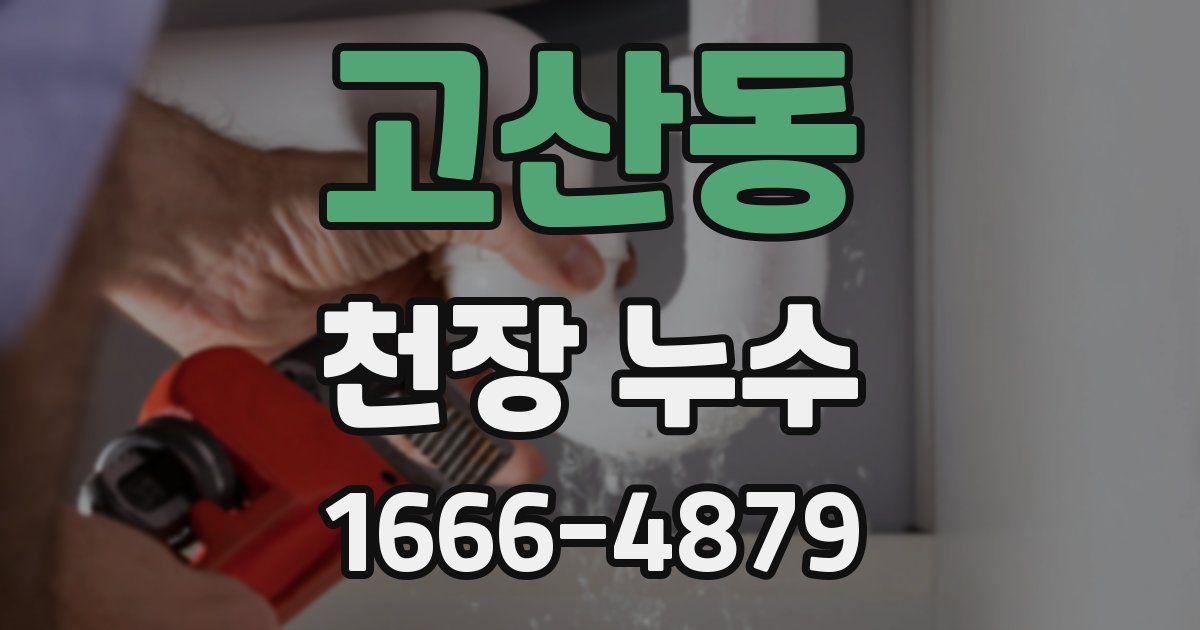 고산동 천장 누수