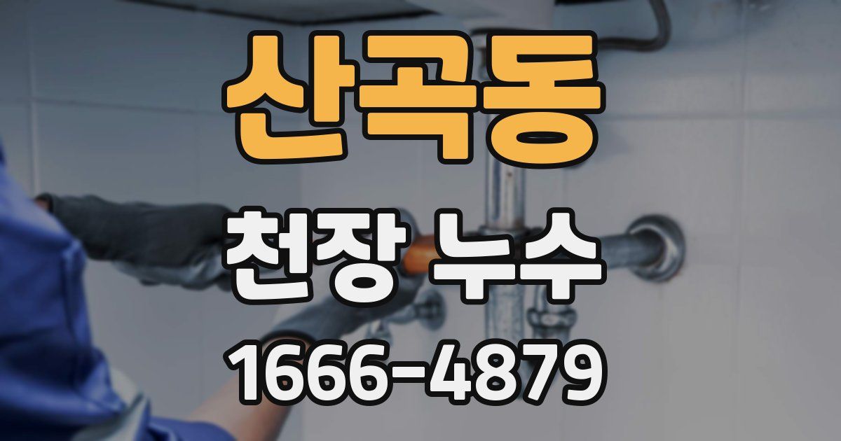 산곡동 천장 누수