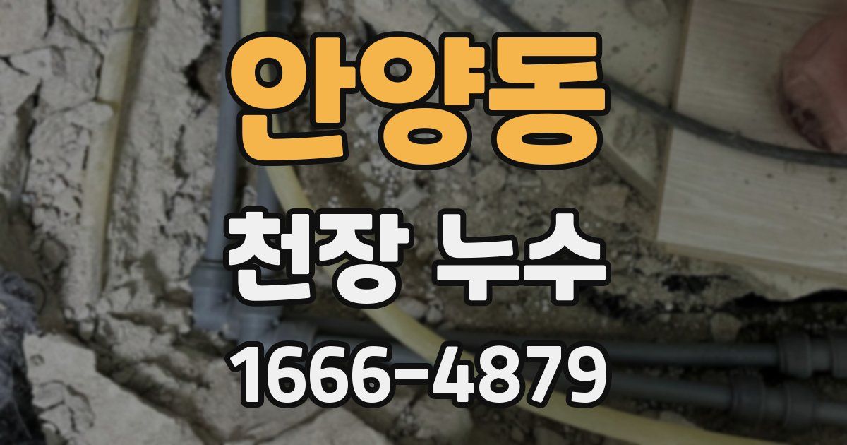 안양동 천장 누수