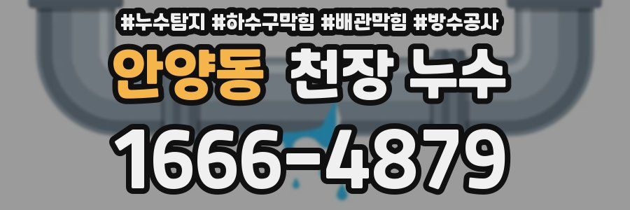 안양동 천장 누수