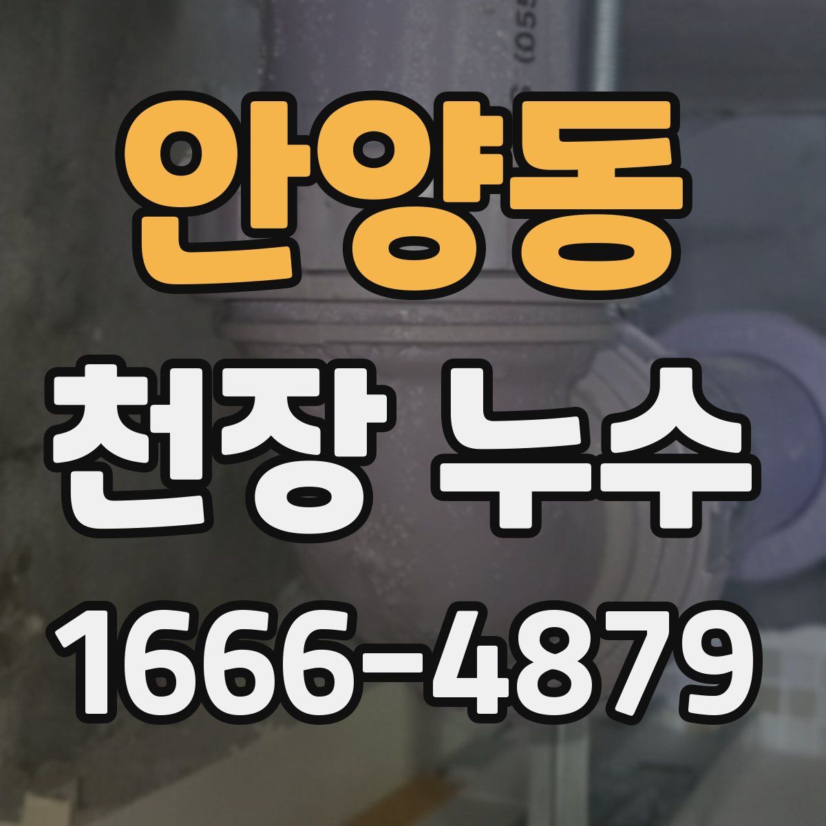 안양동 천장 누수