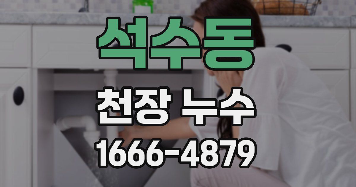 석수동 천장 누수