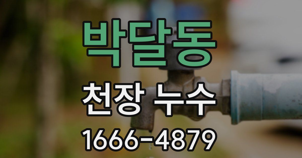 박달동 천장 누수