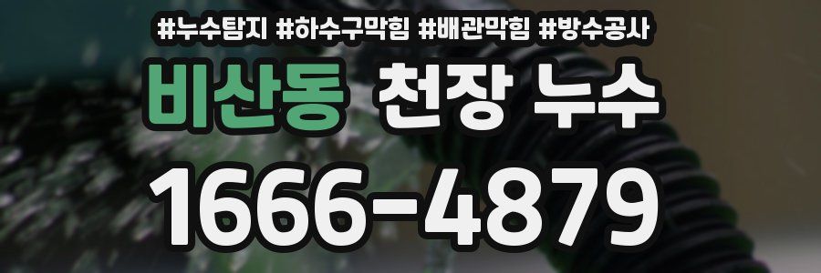 비산동 천장 누수