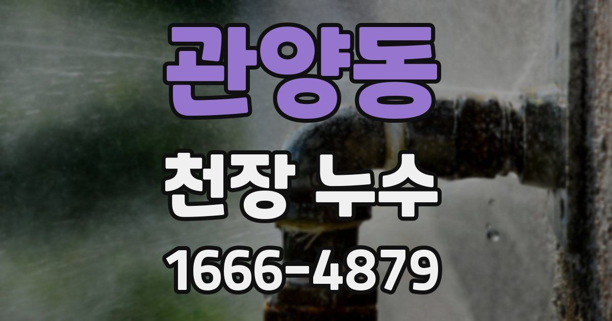 관양동 천장 누수