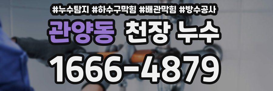 관양동 천장 누수