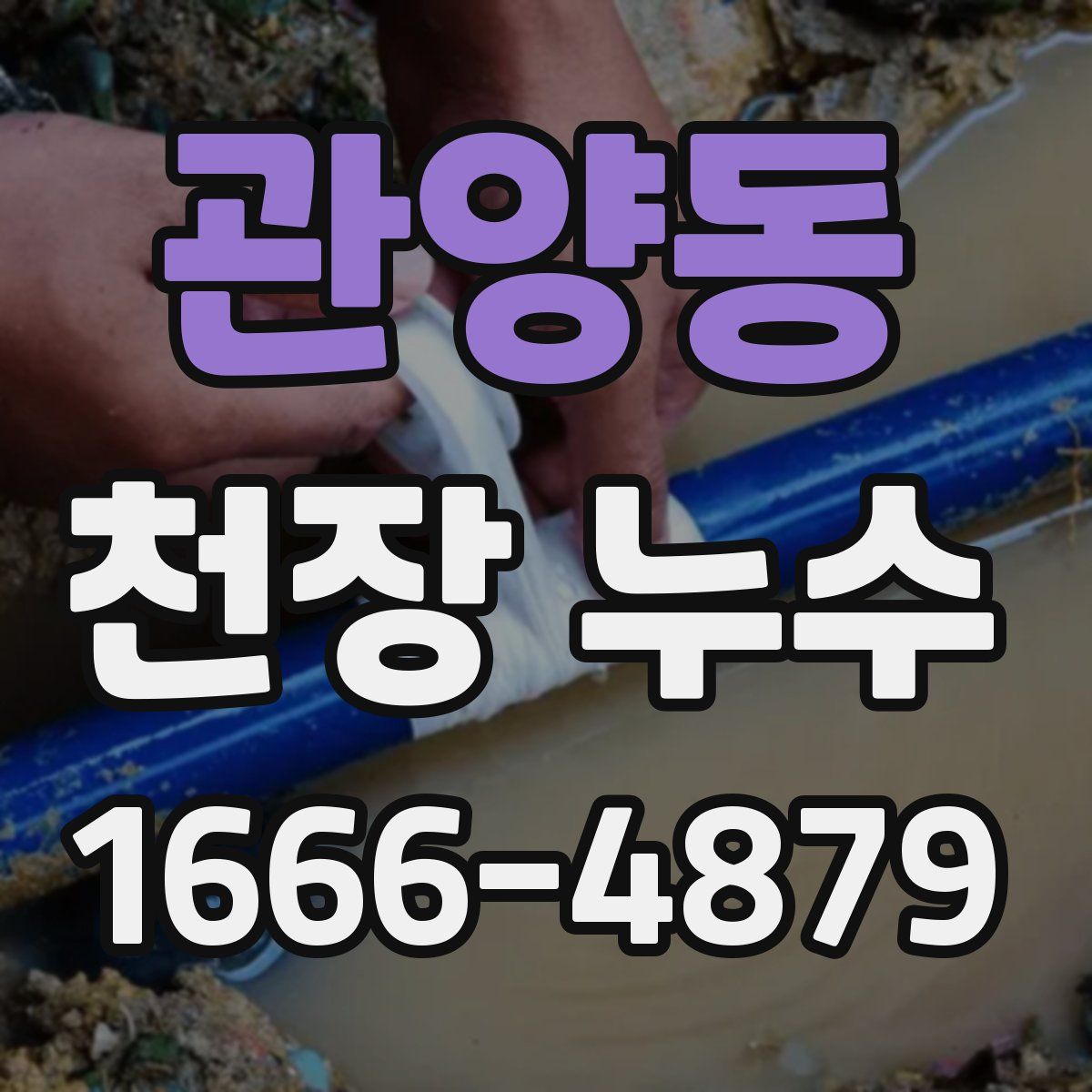 관양동 천장 누수