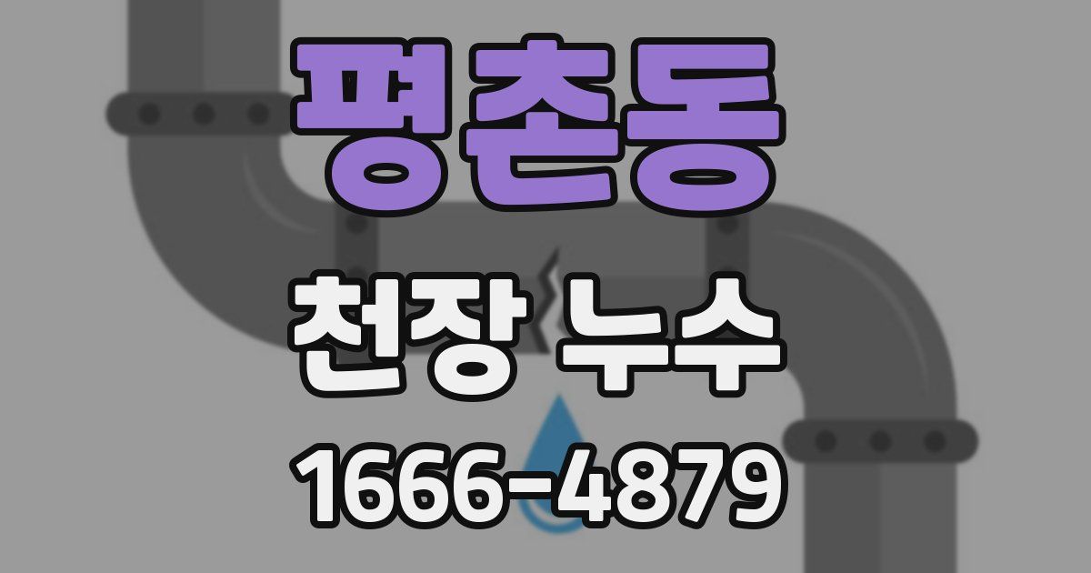 평촌동 천장 누수