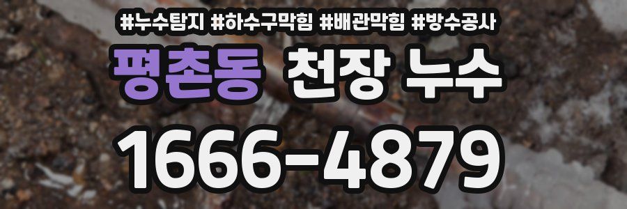 평촌동 천장 누수
