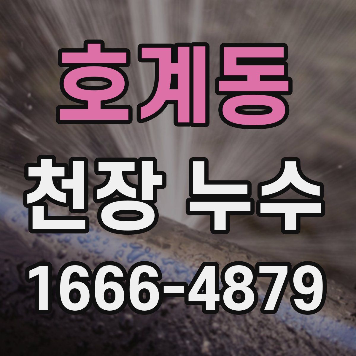 호계동 천장 누수