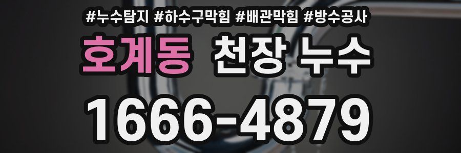 호계동 천장 누수