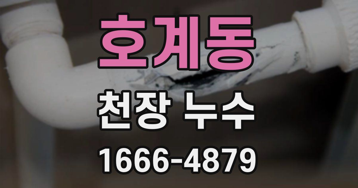 호계동 천장 누수